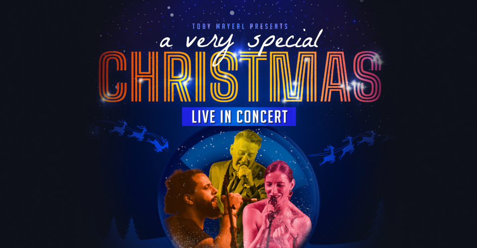 A VERY SPECIAL CHRISTMAS | SOLD OUT